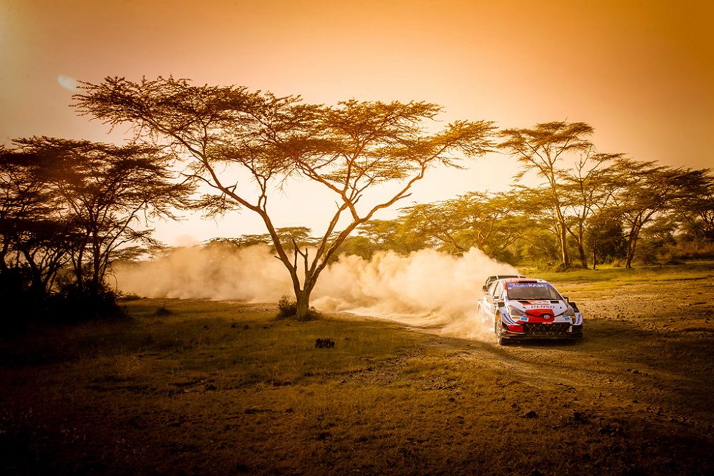 Safari Rallye Kenia (Bild: Toyota Gazoo Racing)