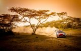 Safari Rallye Kenia (Bild: Toyota Gazoo Racing)