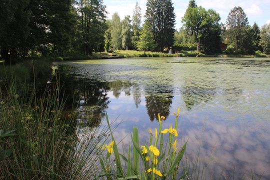 Ein Teil der Rechter Weihers wird Badezone (Bild: Michaela Brück/BRF)