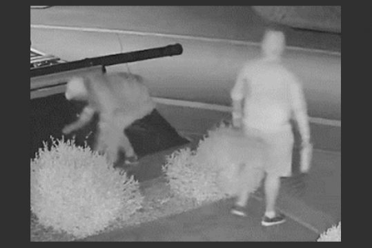 Zeugenaufruf der Polizeizone Weser-Göhl