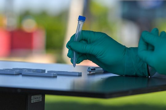 Covid-Test (Archivbild: Luc Claessen/Belga)