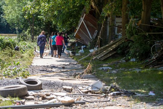 Esneux am 18. Juli (Bild: Nicolas Maeterlinck/Belga)