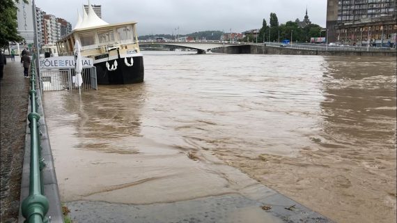 Der hohe Pegel der Maas (Bild: Maxime Gilles/Belga)