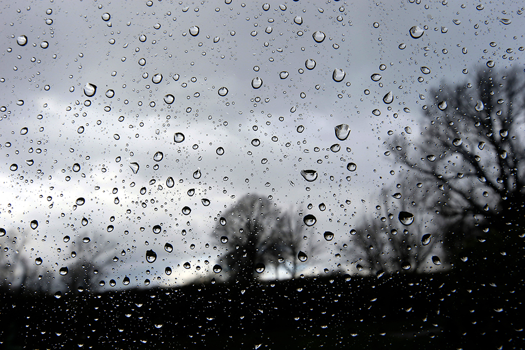 Regen (Bild: Nicolas Maeterlinck/Belga)