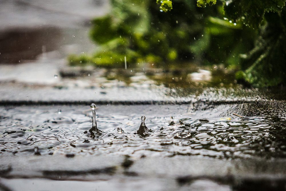 Regen (Bild: Siska Gremmelprez/Belga)