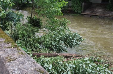 Die Our nach dem Hochwasser in Schönberg (Bild: Celine Afeli/BRF)