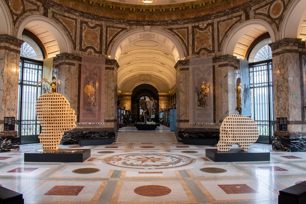 Im Königlichen Museum für Zentralafrika in Tervuren (Bild: Charlotte Gekiere/Belga)