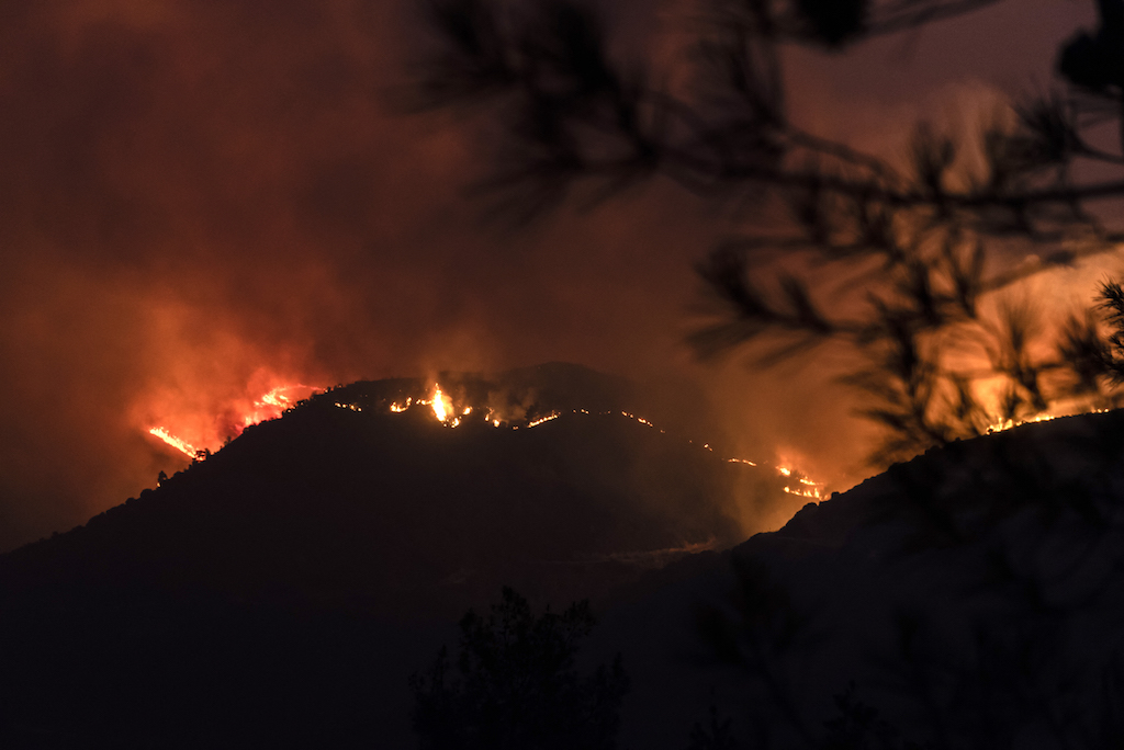 Heftige Waldbrände auf Zypern (Bild: Iakovos Hatzistavrou/AFP)