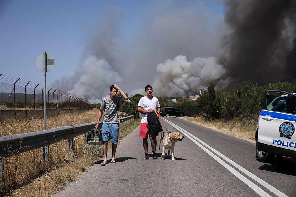 Waldbrände in Griechenland (Bild: Sotiris Dimitropoulos Eurokinissi/AFP)