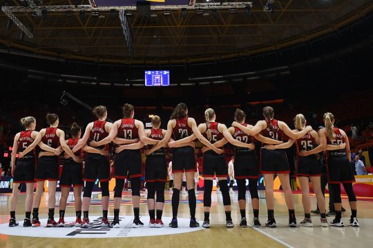 Belgian Cats (Archivbild: Virginie Lefour/Belga)