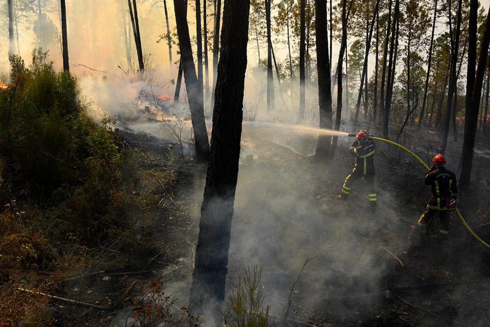 Waldbrand in Vidauban im Département du Var (Bild: Nicolas Tucat/AFP)