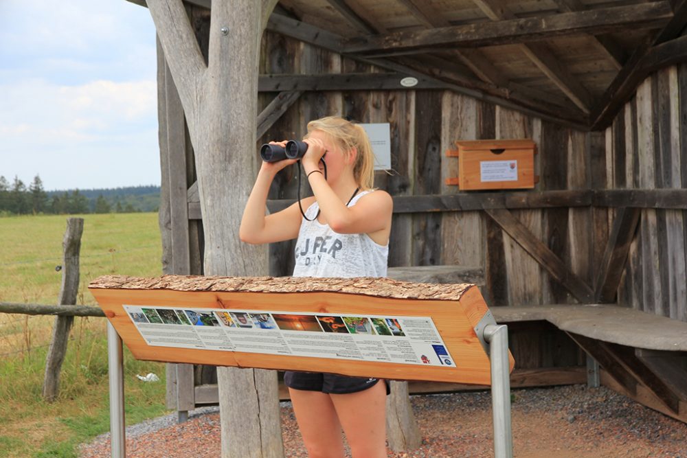 Panoramatafel in Holzheim (Bild: TAO)