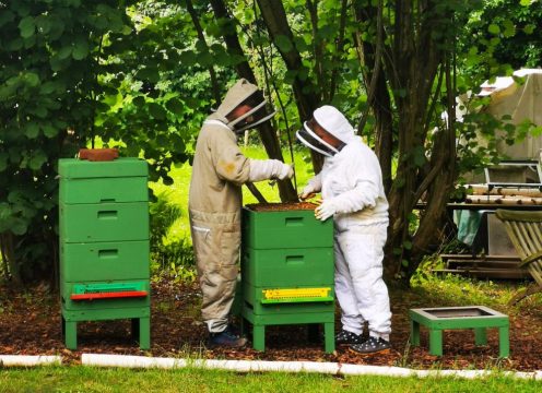 Daniel Fassbender und Christine Kessel (Bild: Raffaela Schaus/BRF)