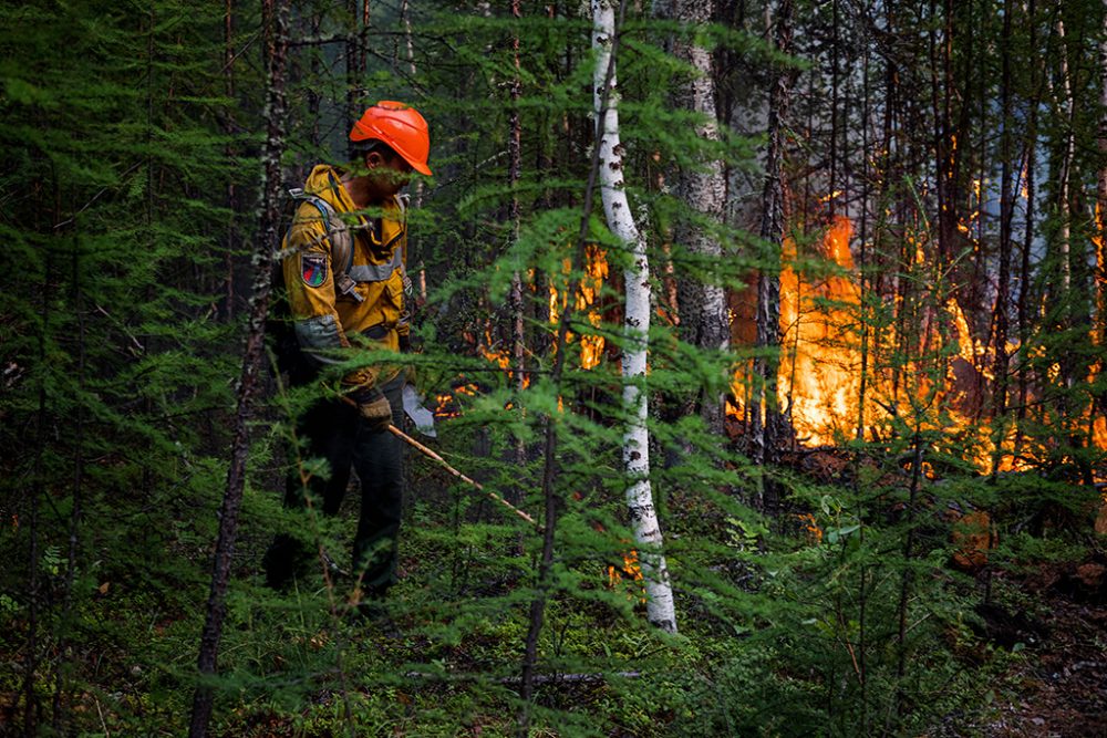 Waldbrände in Russland (Bild: Dimitar Dilkoff/AFP)