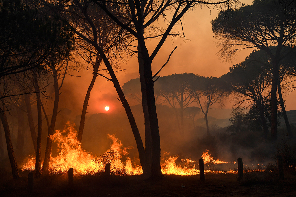 Schwerer Waldbrand in der Nähe von Gonfaron im südfranzösischen Département Var (Bild: Nicolas Tucat/AFP)