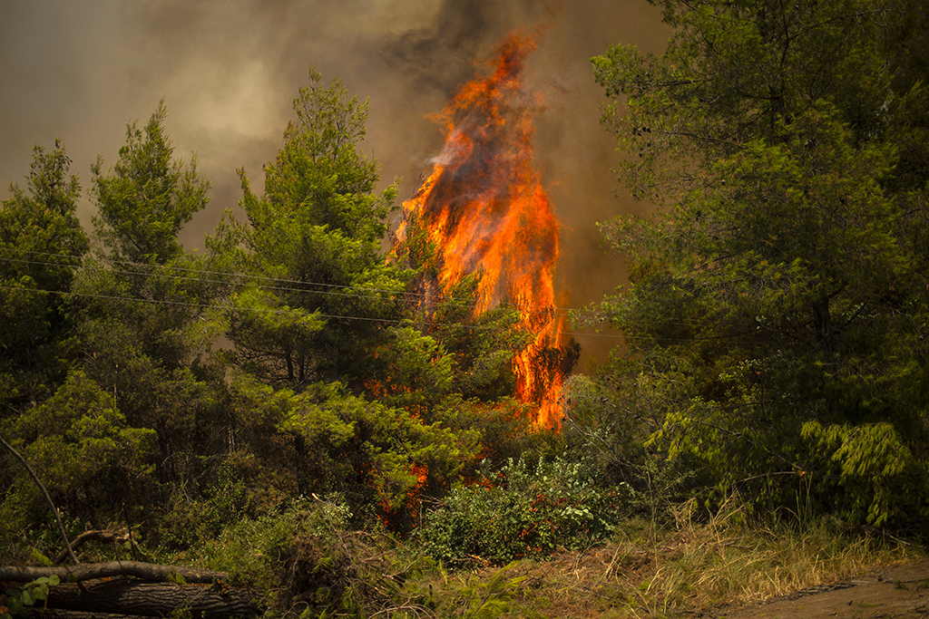 Wie hier auf der Insel Euböa stehen in Griechenland und weiteren Mittelmeer-Anrainer-Staaten Wälder in Flammen (Bild: Angelos Tzortzinis/AFP)
