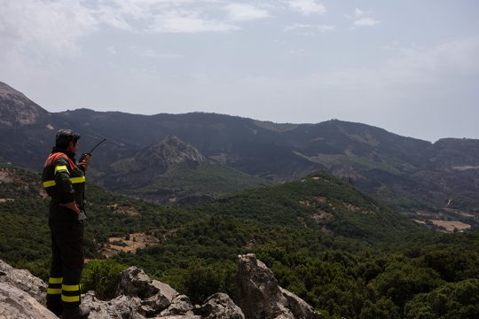 Waldbrände in Italien (Bild: Valentina Sinis/AFP)