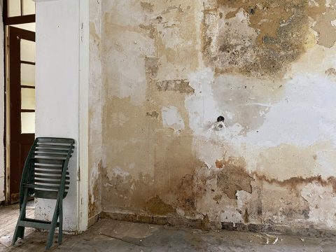 Bild: Simonne Doepgen/BRF