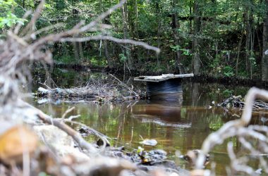 Militär beginnt Aufräumarbeiten an der Weser in Eupen (Bild: Julien Claessen/BRF)