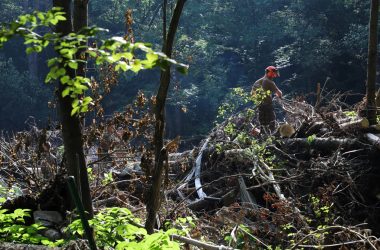 Militär beginnt Aufräumarbeiten an der Weser in Eupen (Bild: Julien Claessen/BRF)