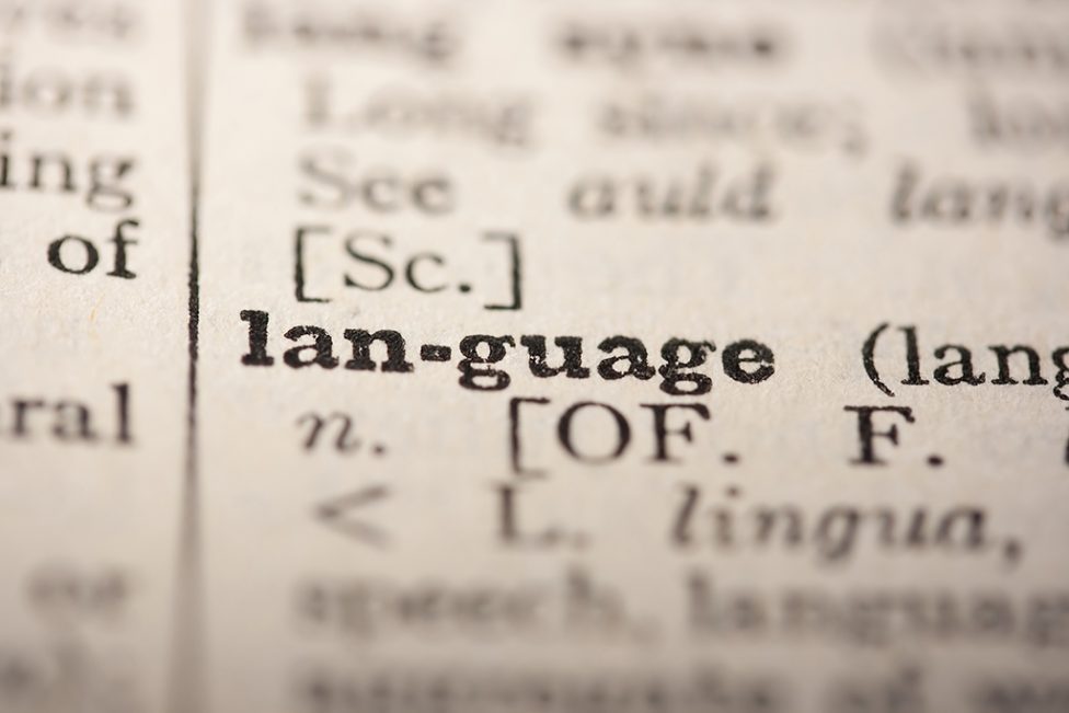 Wörterbucheintrag des englischen Wortes "language" für Sprache