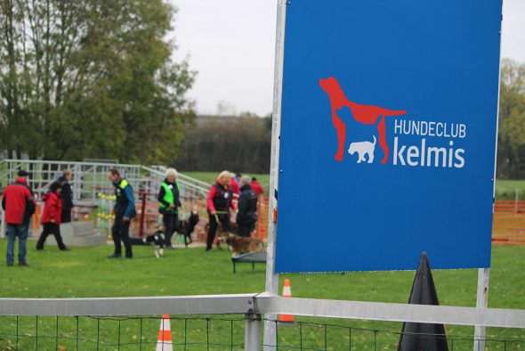Hundewettbewerb in Hergenrath (Bild: Andreas Lejeune/BRF)