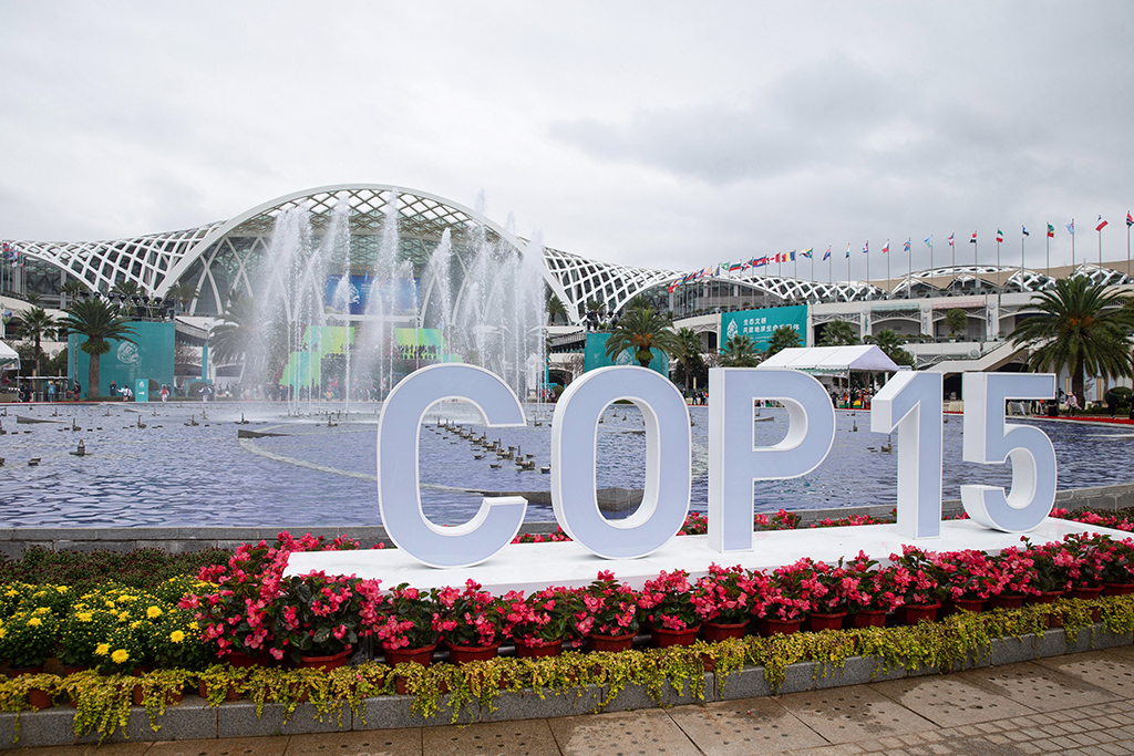 Die UN-Weltnaturkonferenz (COP15) findet dieses Jahr in Kunming statt (Bild: STR/AFP)