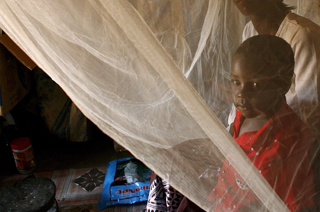 Malaria (Bild: Kim Ludbrook/EPA)