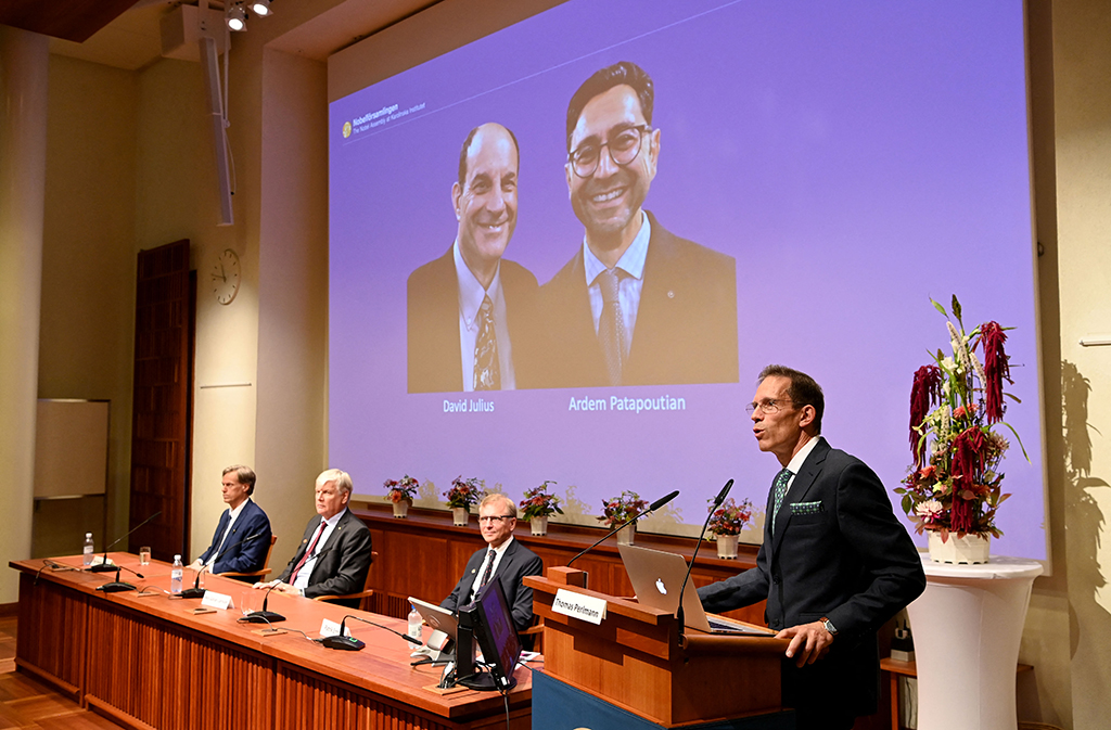 David Julius und Ardem Patapoutian erhalten den Nobelpreis für Medizin (Bild: Jonathan Nackstrand/AFP)