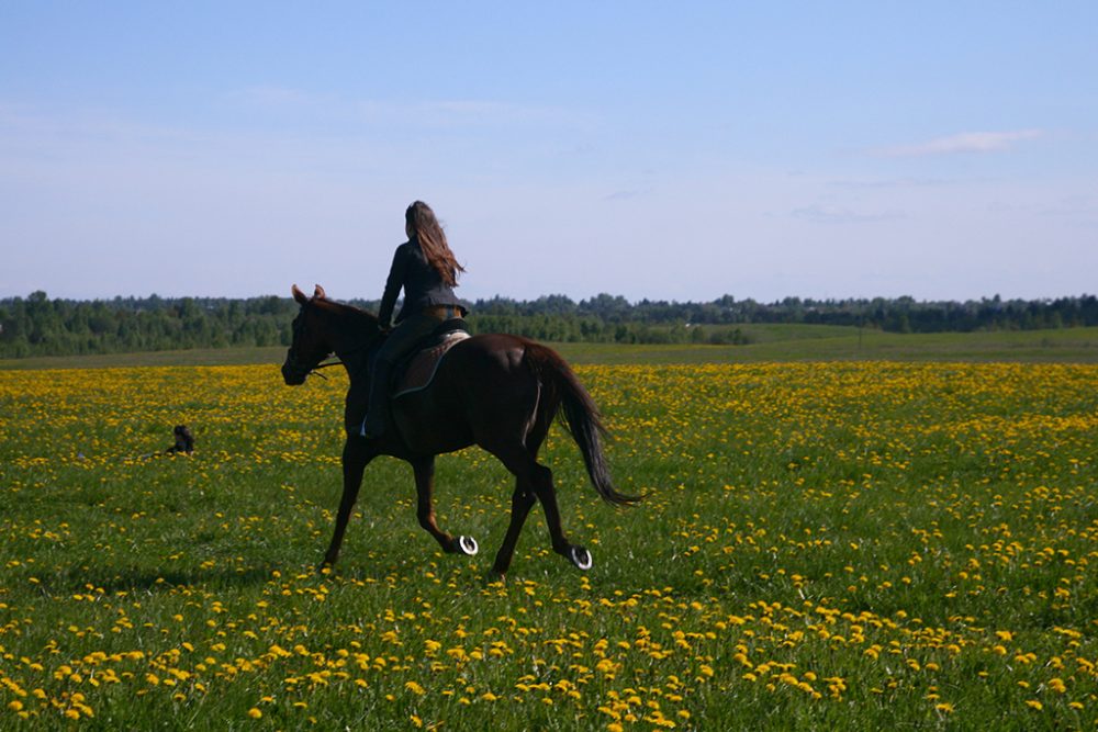 Reiten (Illustrationsbild: © Bildagentur PantherMedia / Yellowj (YAYMicro))