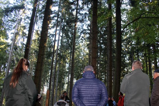 Waldbegehung: Spuren der Verwüstungen durch das Hochwasser sind noch sichtbar (Bild: Michaela Brück/BRF)