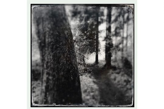 Ein Bild der Ausstellung "Früher war mehr Wald" - © Bernd Radtke