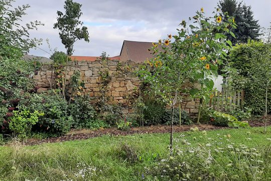 Bild: Manuel Zimmermann/BRF