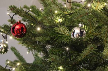 BRF-Adventskalender: Anke Mennicken gewinnt einen Weihnachtsbaum