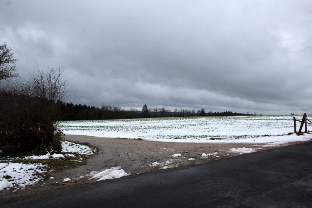 Hier soll der neue Windpark entstehen (Bild: Andreas Lejeune/BRF)