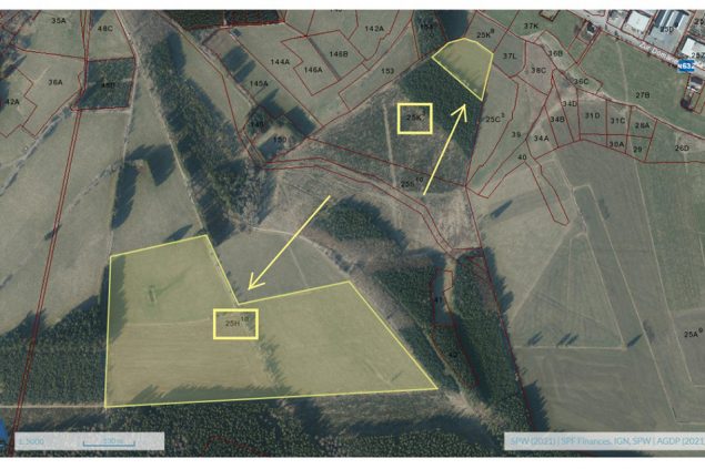 Bütgenbach: 15 Hektar Wiese dürfen aufgeforstet werden (Bild: Kabinett Antoniadis)