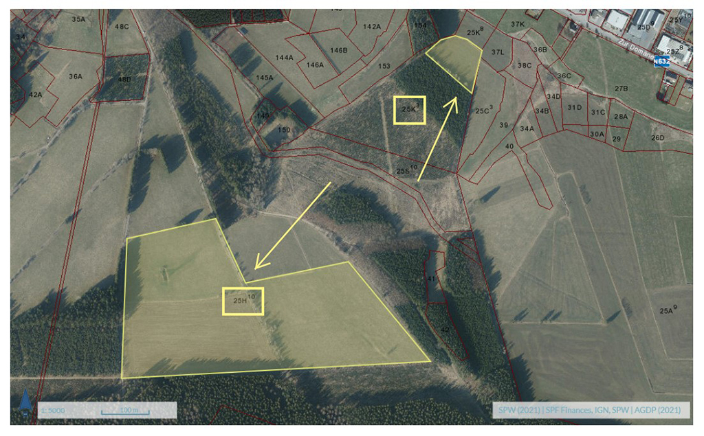 Bütgenbach: 15 Hektar Wiese dürfen aufgeforstet werden (Bild: Kabinett Antoniadis)