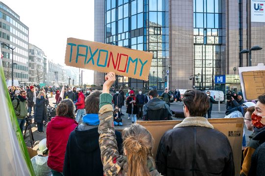 Bild: Hatim Kaghat/Belga