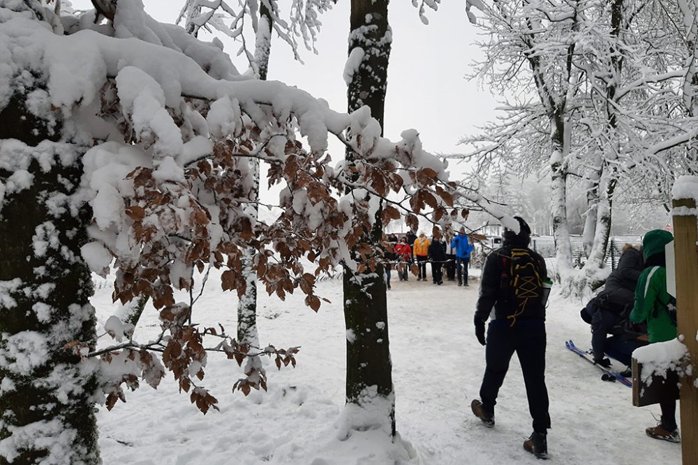 Das Hohe Venn am 8. Januar (Bild: Manuel Zimmermann/BRF)