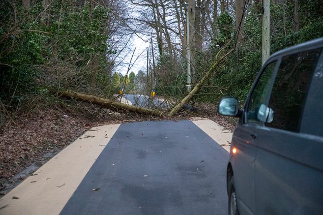Sturm Eunice hat in Belgien viel Schaden angerichtet (Archivbild: Nicolas Maeterlinck/Belga)