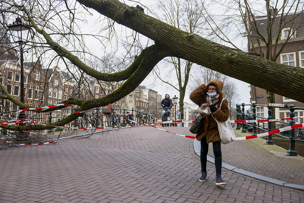 Sturmschäden in Amsterdam (Bild: Ramon van Flymen/ANP/AFP)