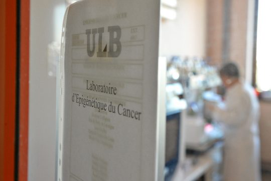 Krebslabor an der ULB (Archivbild: David Stockman/Belga)