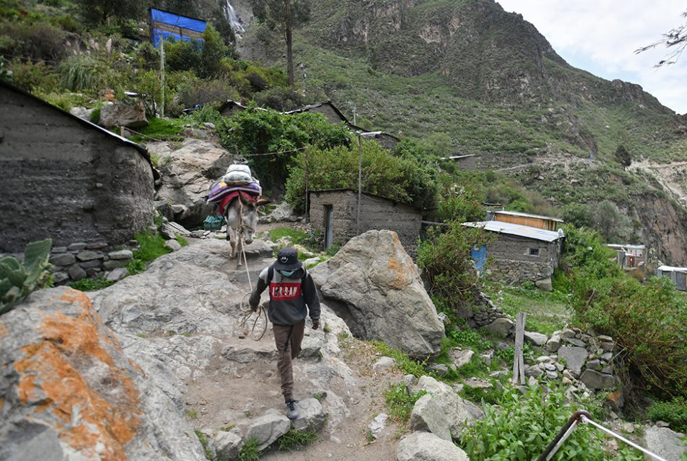 Suche nach Natacha de Crombrugghe (Bild: Diego Ramos/AFP)