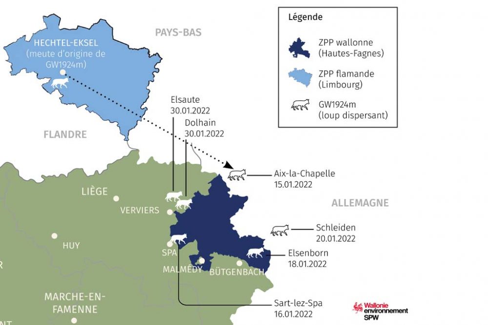 Übersicht über Wolfssichtungen (Bild: SPW)