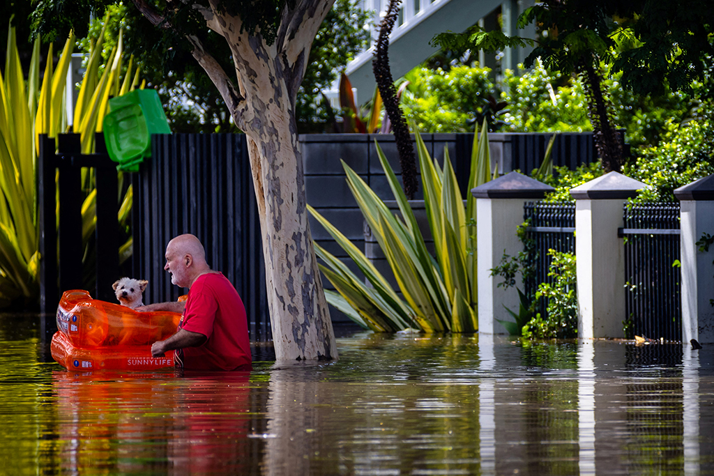 Ein Mann bringt in Paddington nahe Brisbane seinen Hund vor den Fluten in Sicherheit (Bild: Patrick Hamilton/AFP)