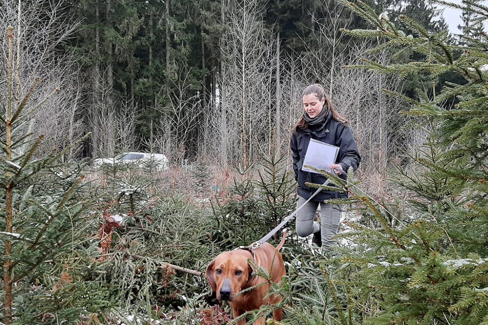 Revierförsterin Chiara Emonts-Gast aus Eupen (Bild: Michaela Brück/BRF)