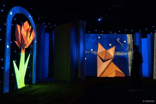 Ausstellung "Le petit prince parmi les hommes" in Brüssel (Bild: Tempora)