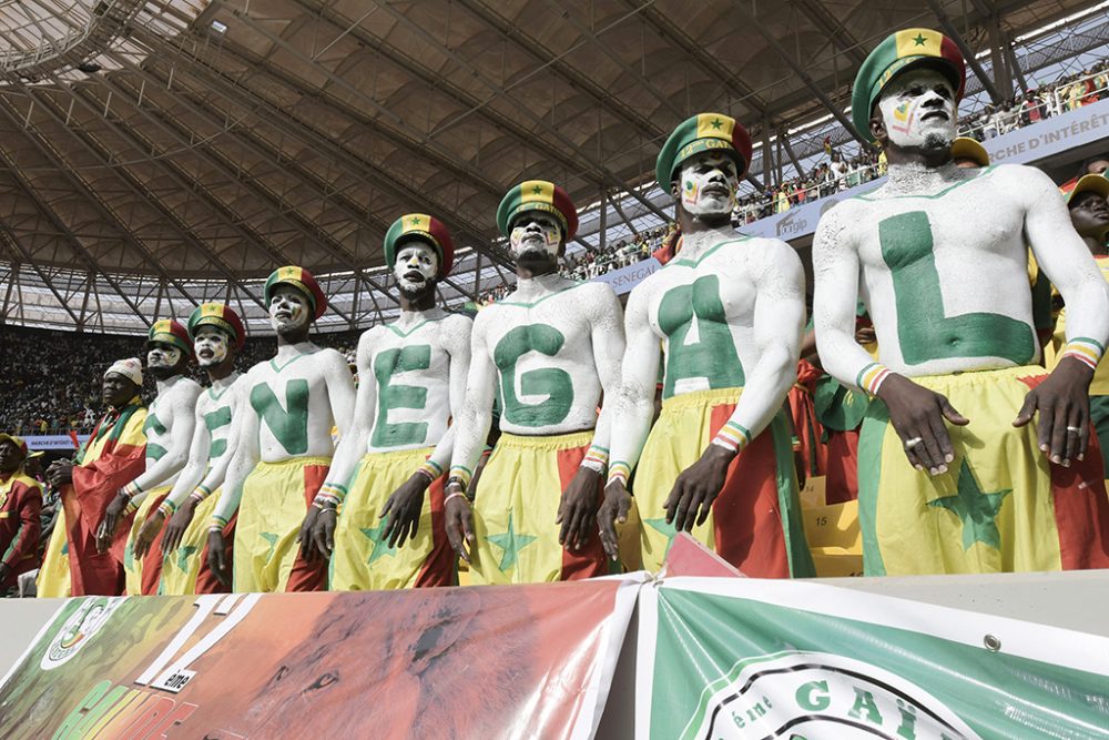 Senegal-Fans beim spiel gegen Ägypten (Bild: Seyllou/AFP)