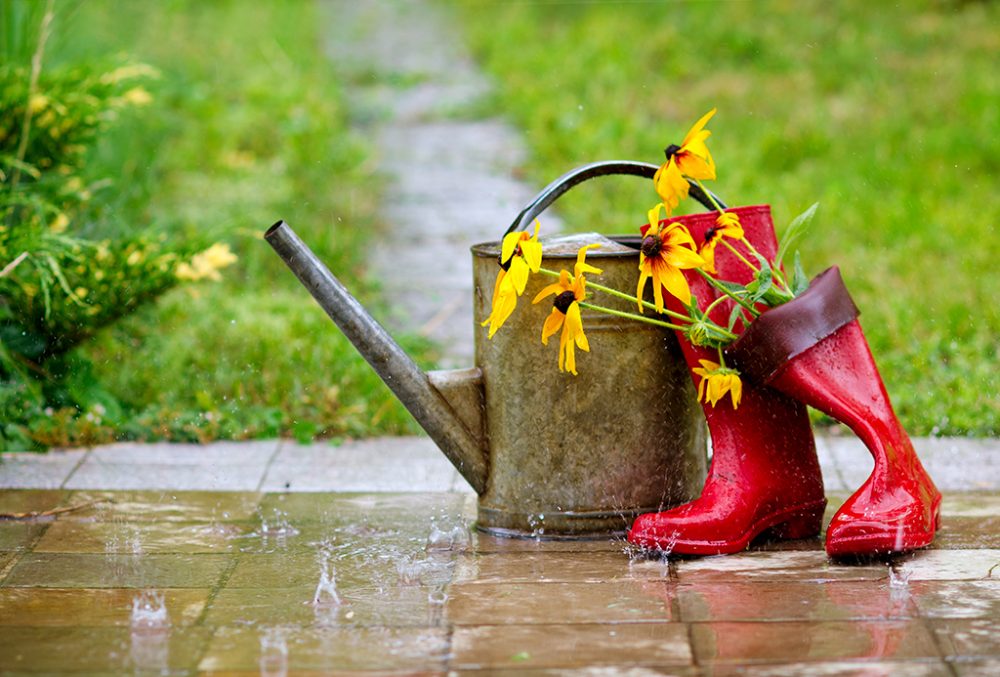 Regenstiefel mit Gießkanne