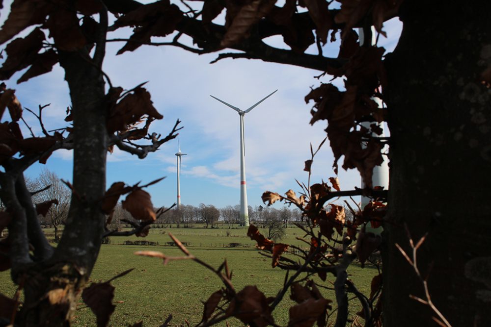 Windräder der Genossenschaft Courant d'Air in Weismes, die auch zu Cociter gehört (Bild: Christoph Heeren/BRF)